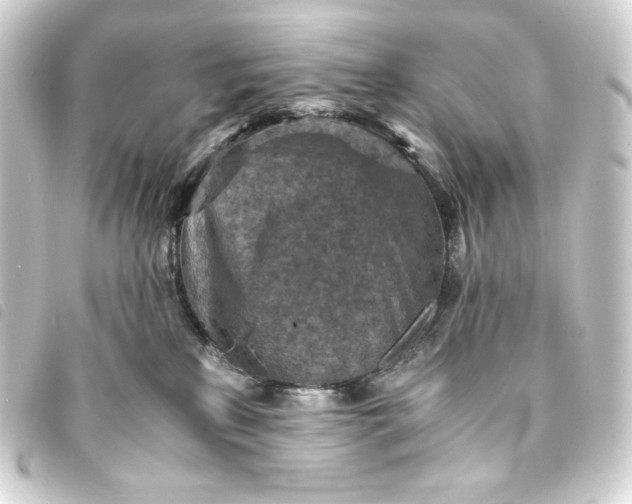 X0000093730233200710301050