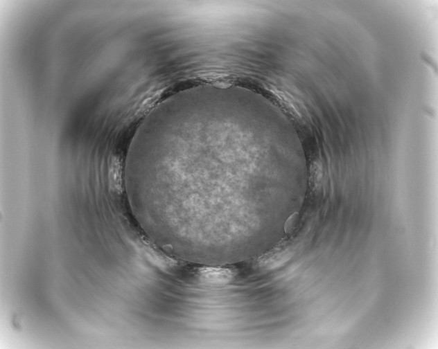 X0000093730234200710301050