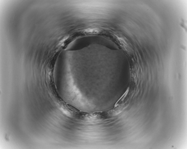 X0000093730235200710301050