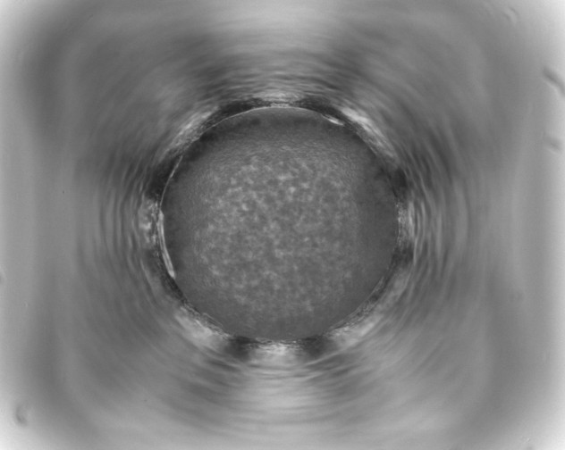 X0000093730237200710301050