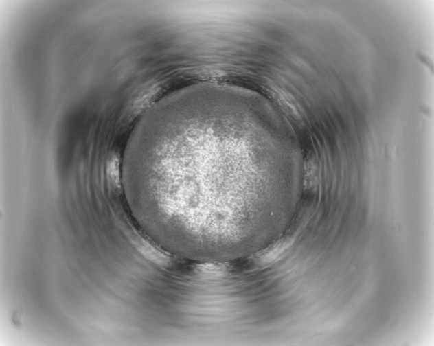 X0000093730238200710301050