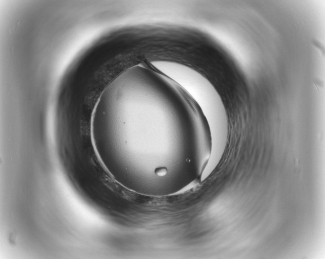 X0000093730239200710301050