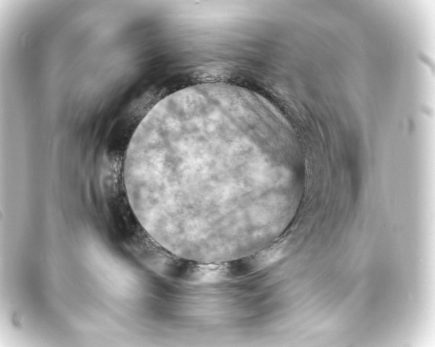 X0000093730240200710301050