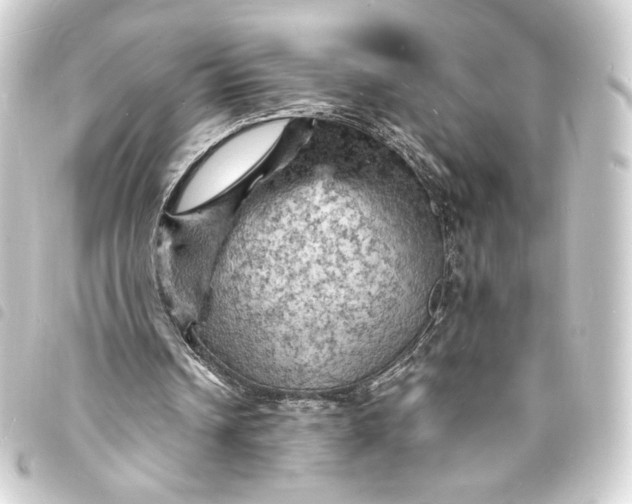 X0000093730242200710301049