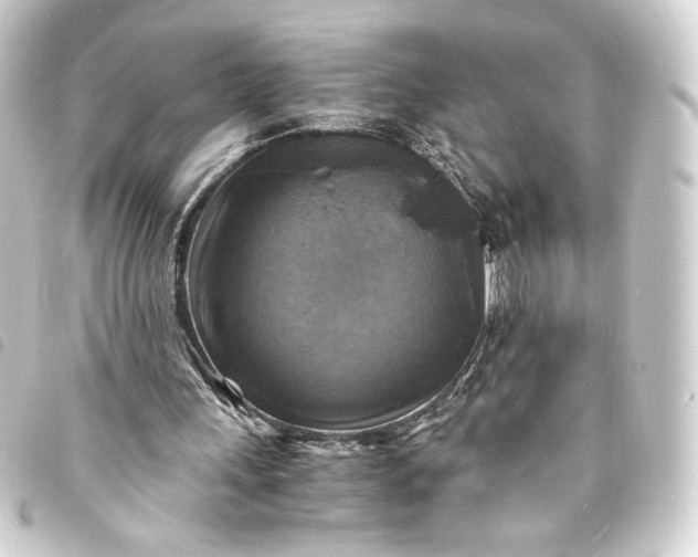 X0000093730243200710301049