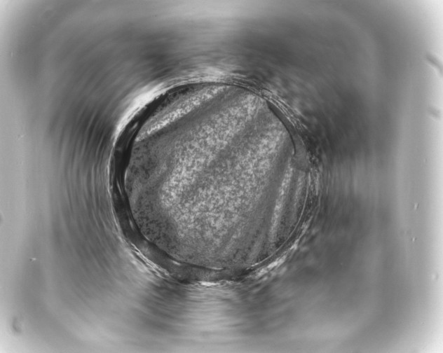 X0000093730244200710301049