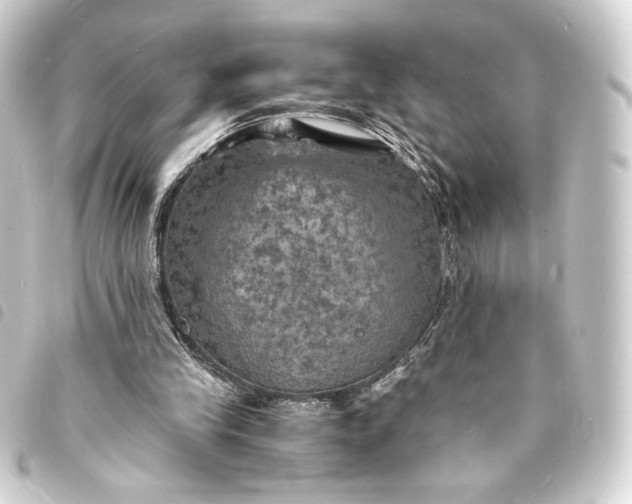 X0000093730245200710301049