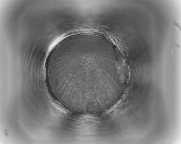 X0000093730246200710301049