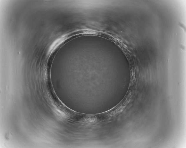 X0000093730247200710301049