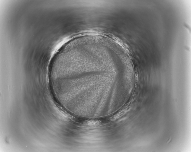 X0000093730248200710301049