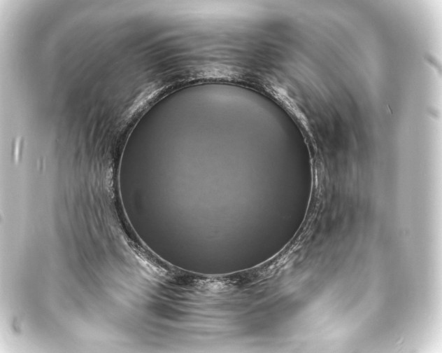 X0000093730249200710301049