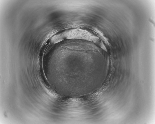 X0000093730250200710301049