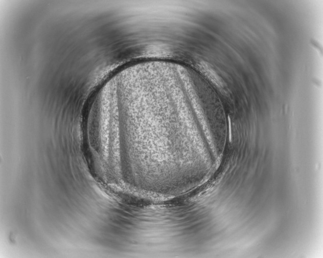 X0000093730252200710301049