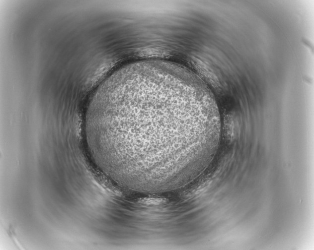 X0000093730255200710301049