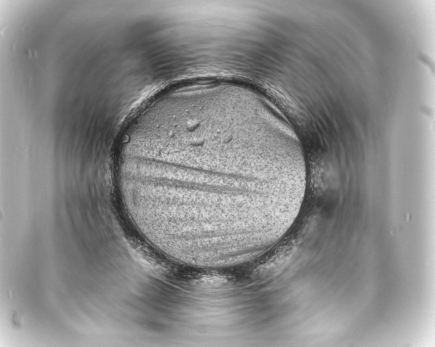 X0000093730256200710301049