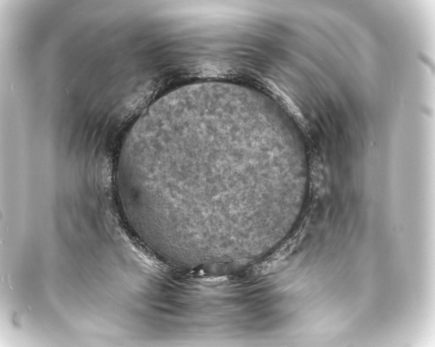 X0000093730257200710301049