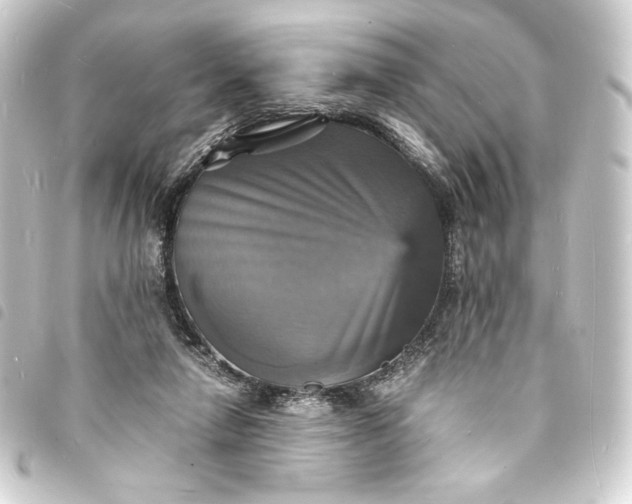 X0000093730258200710301050