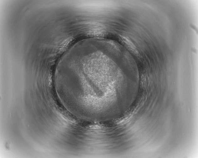 X0000093730259200710301050