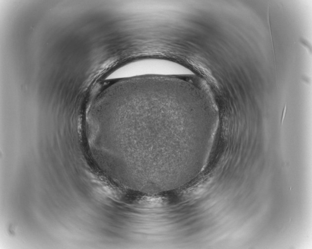 X0000093730260200710301050