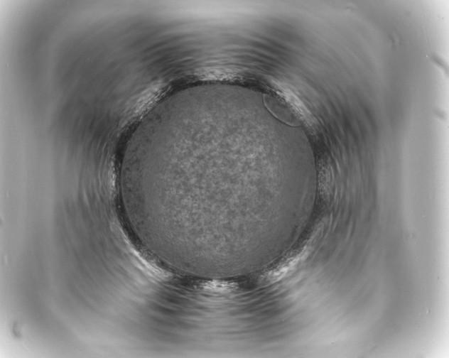 X0000093730261200710301050