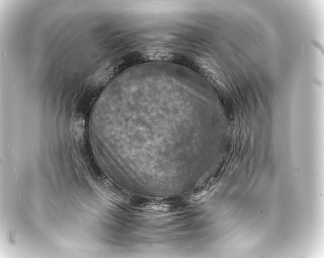 X0000093730263200710301050