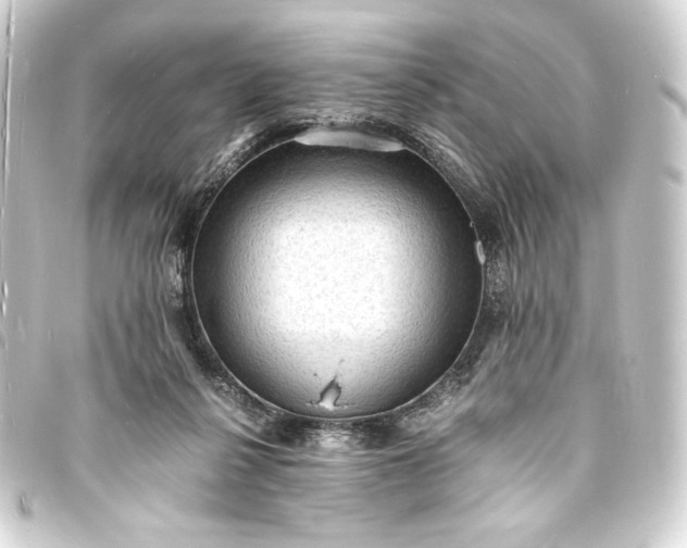 X0000093730264200710301050