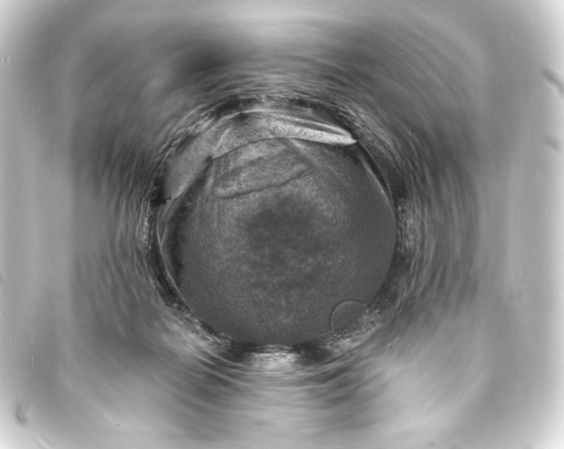 X0000093730266200710301050