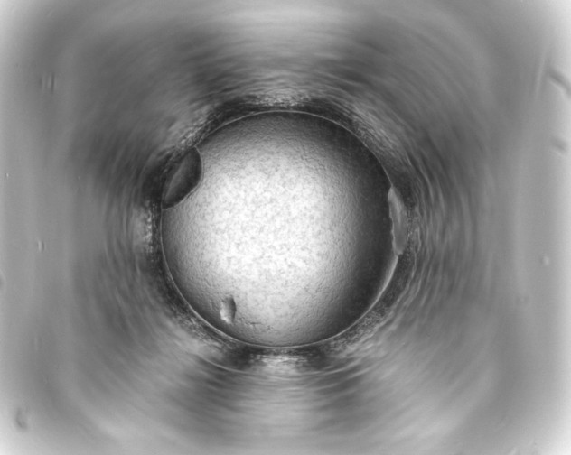 X0000093730268200710301050