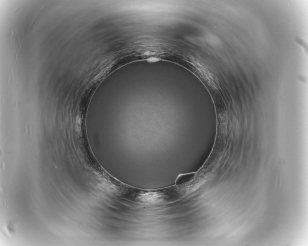 X0000093730269200710301050