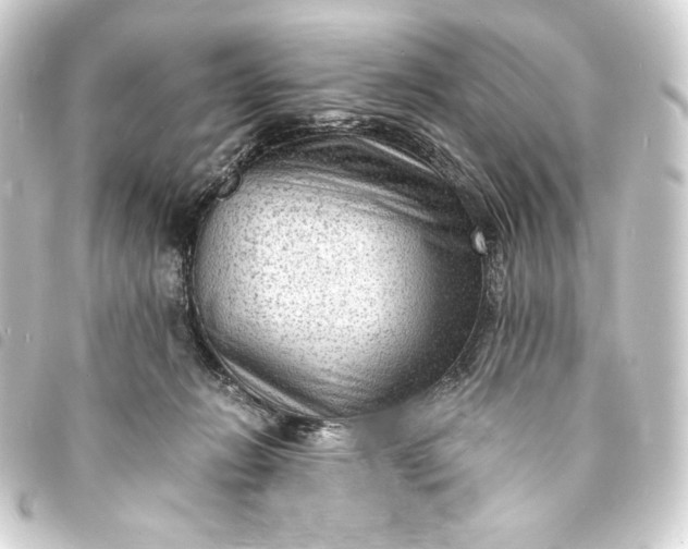 X0000093730270200710301050