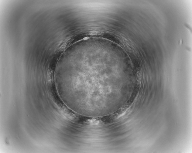 X0000093730272200710301050