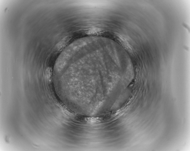 X0000093730273200710301050