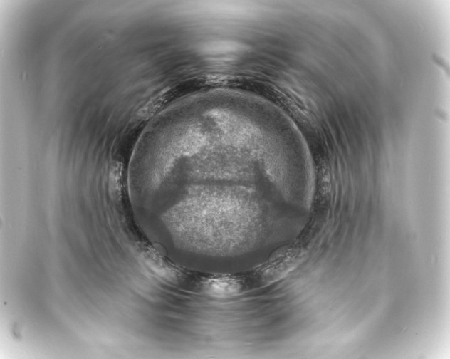 X0000093730275200710301050