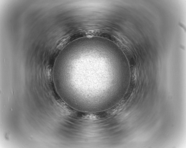 X0000093730276200710301050