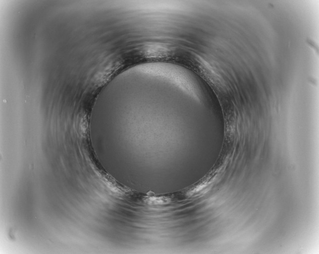 X0000093730277200710301050