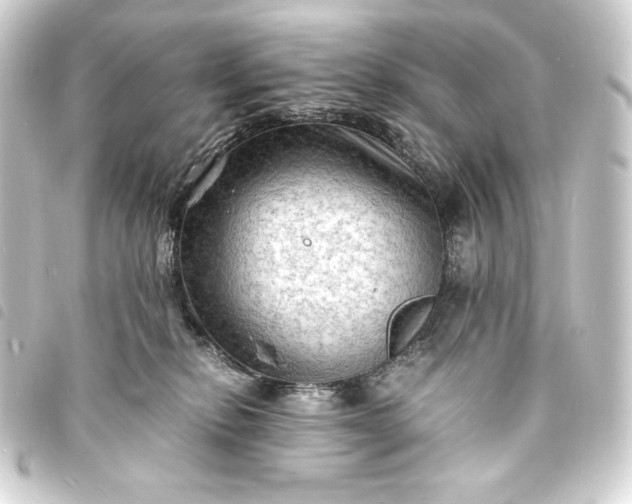 X0000093730278200710301050