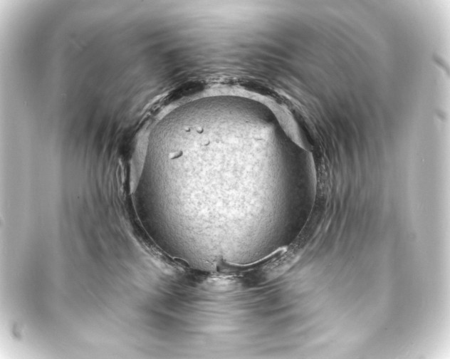 X0000093730280200710301050