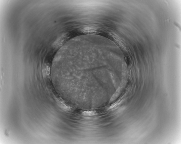 X0000093730281200710301050