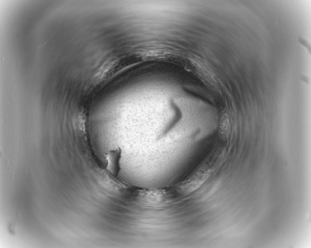 X0000093730282200710301050