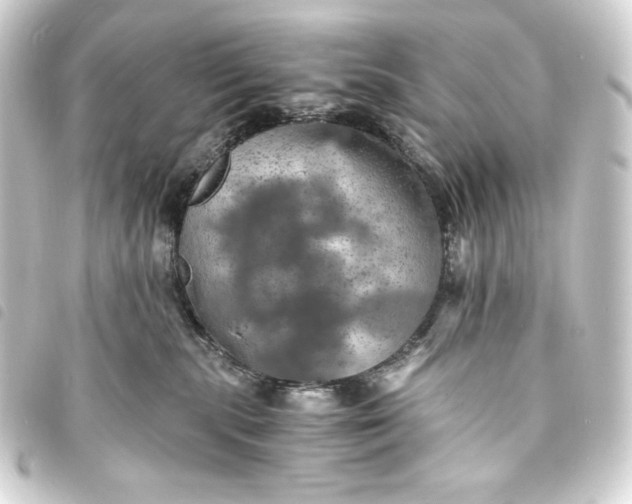 X0000093730283200710301050