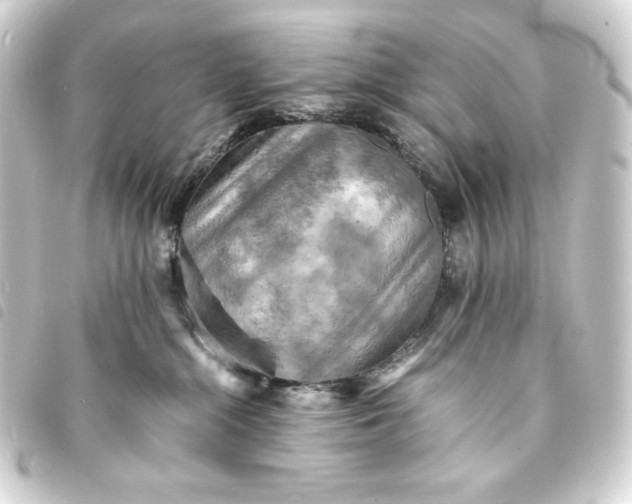 X0000093730284200710301050