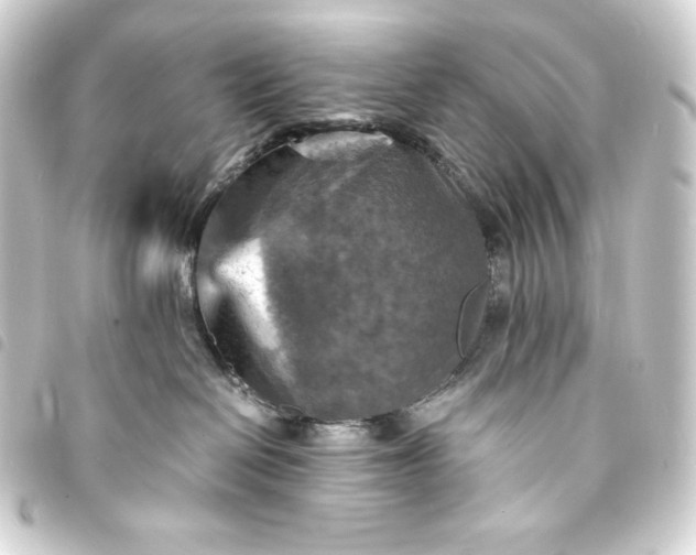 X0000093730286200710301050