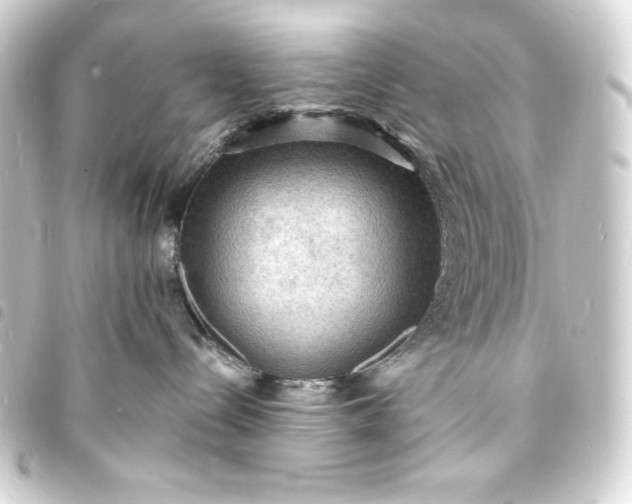 X0000093730288200710301050