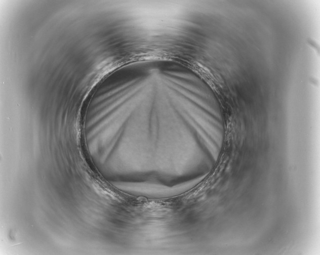 X0000093730290200710301049