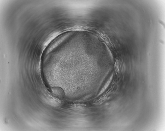 X0000093730292200710301049