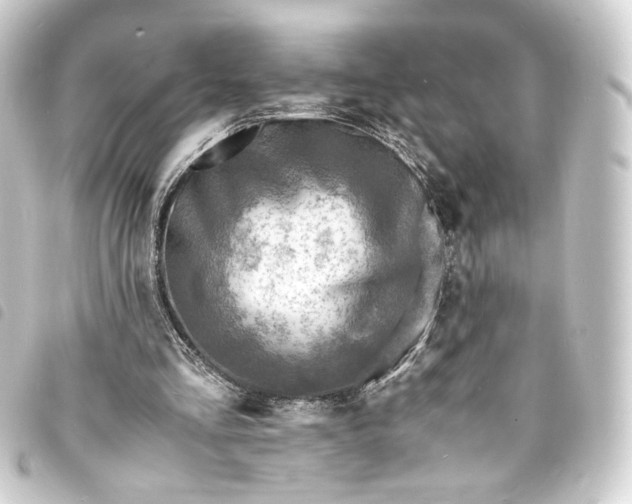 X0000093730293200710301049