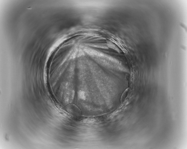 X0000093730294200710301049