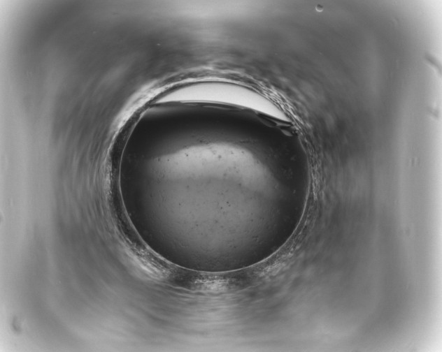 X0000093730295200710301049