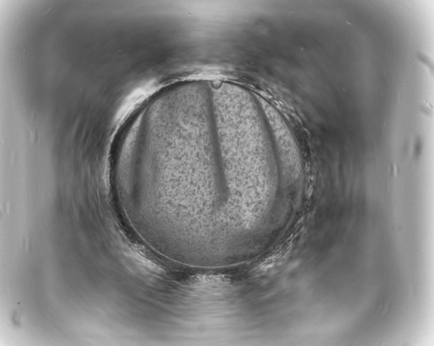 X0000093730296200710301049