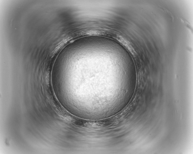 X0000093730297200710301049